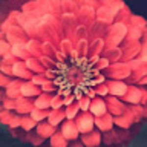 Meet your Posher, Keshia